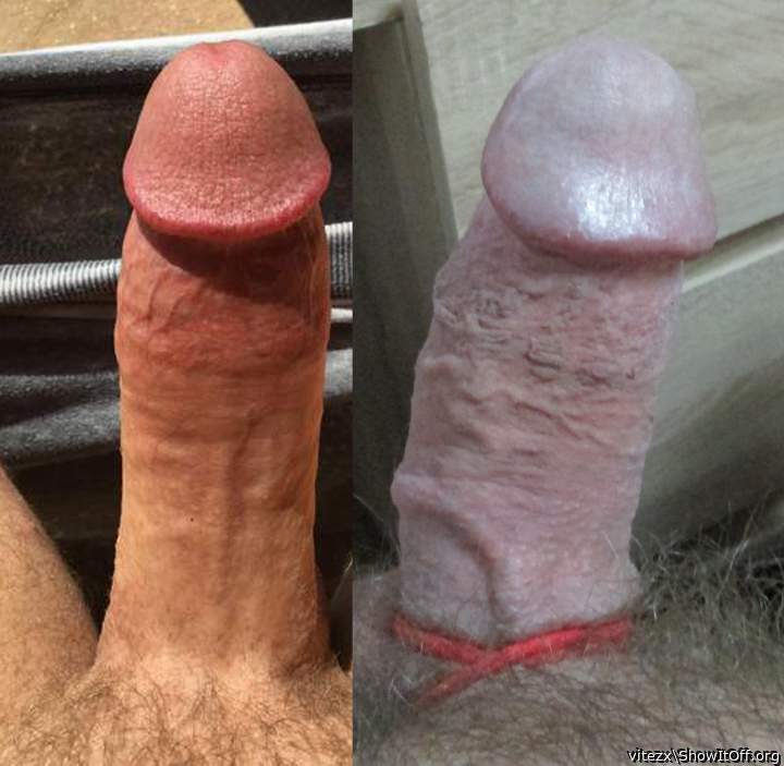 Two cocks
