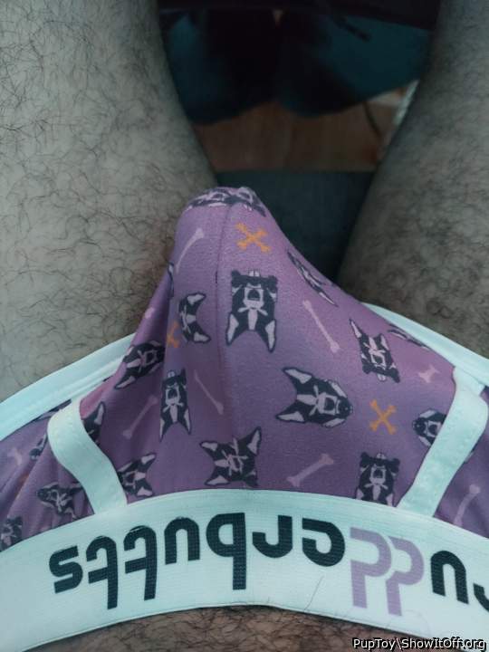 Photo of a dong from PupToy