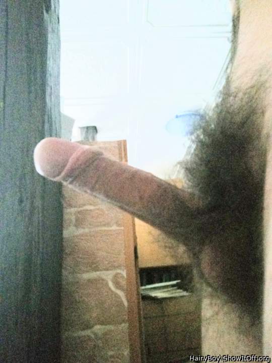 Adult image from HairyBoy