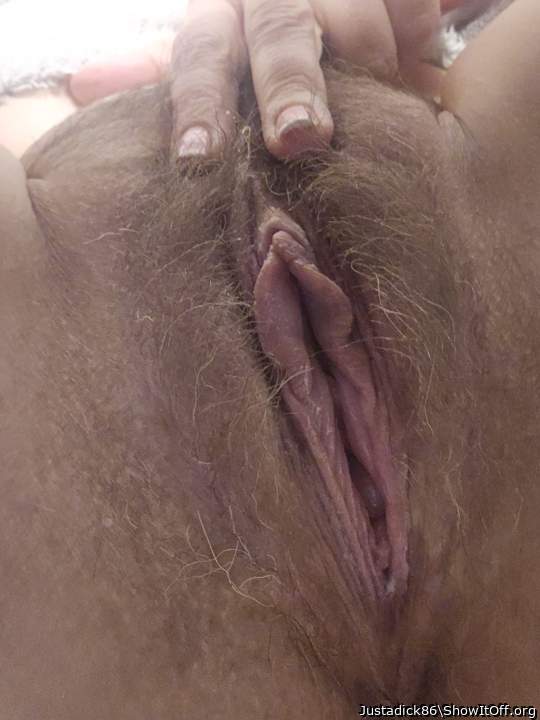 spread pussy