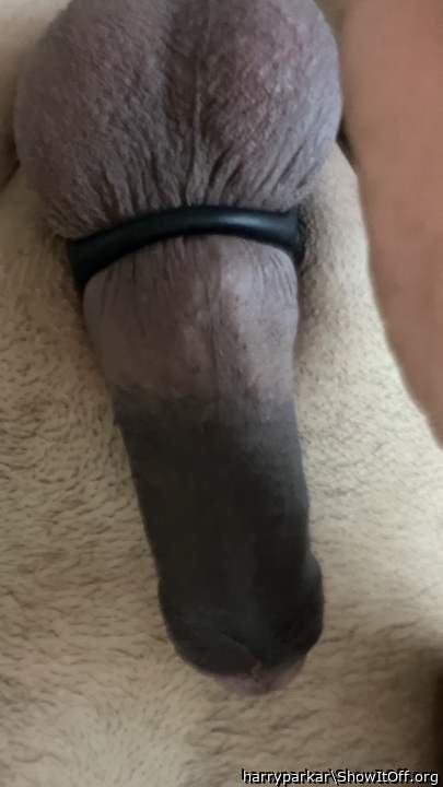 Cock RIng