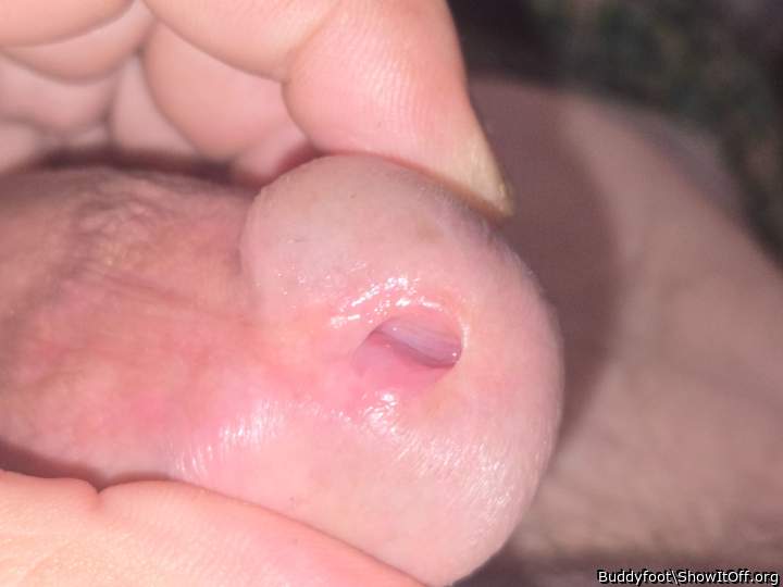 Adult image from Buddyfoot