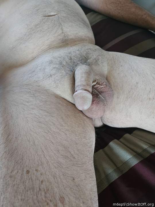 Hairy legs, hairy belly, big balls & a cock worth sucking 