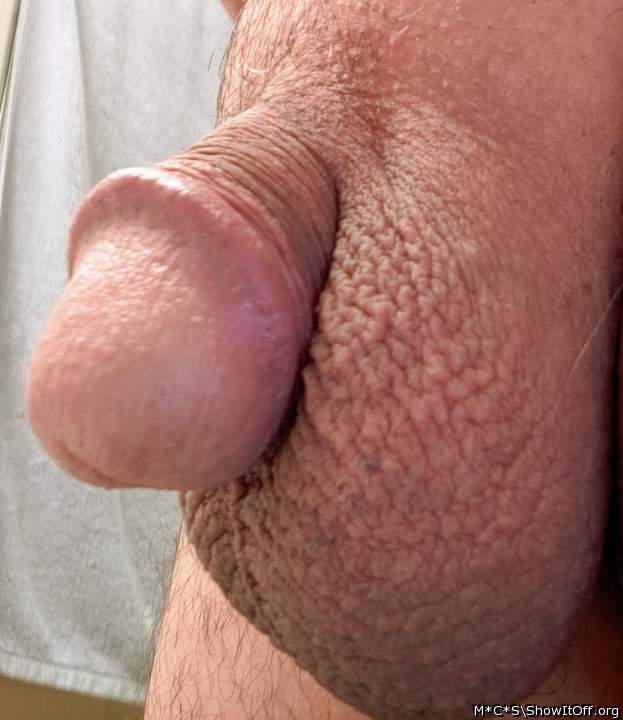 i want to suck your cock  