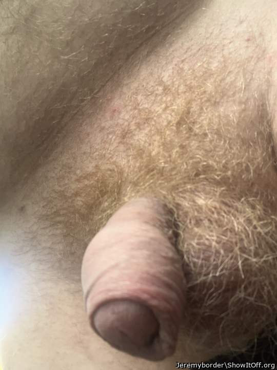 Beautiful foreskin to suck on.  
