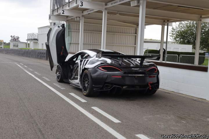 Adult image from steve500