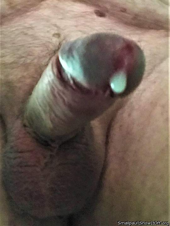 Photo of a pecker from Smallpaul