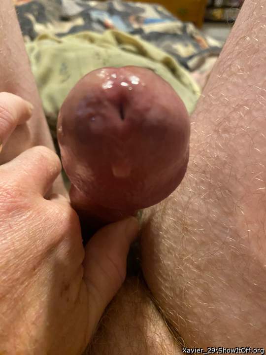 Adult image from Xavier_29