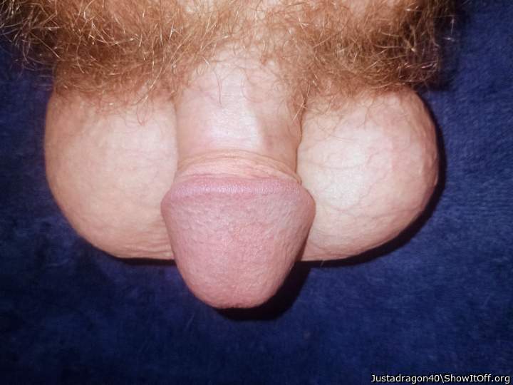 Adult image from Justadragon40