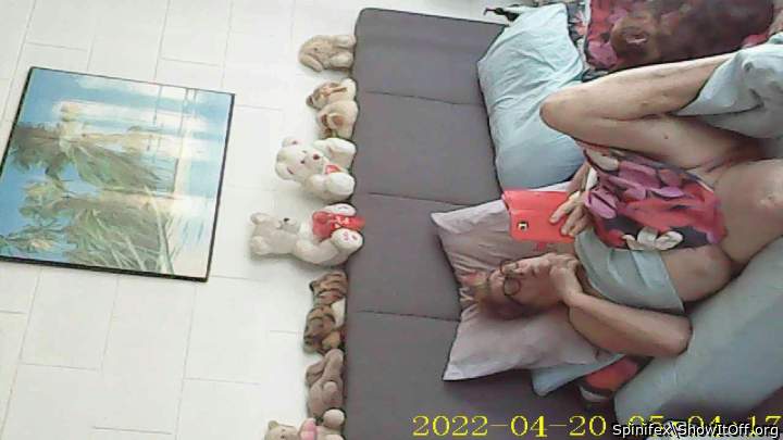 Adult image from Spinifex