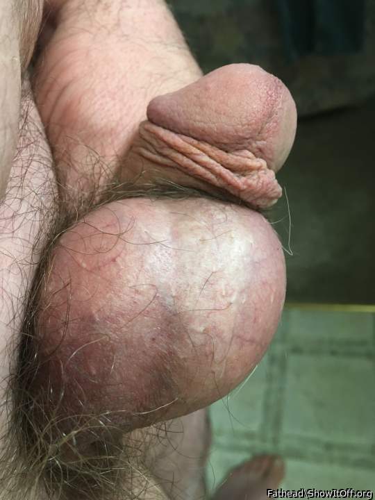 Mature cock meat. 3.5 inches soft and 4.5 inches hard