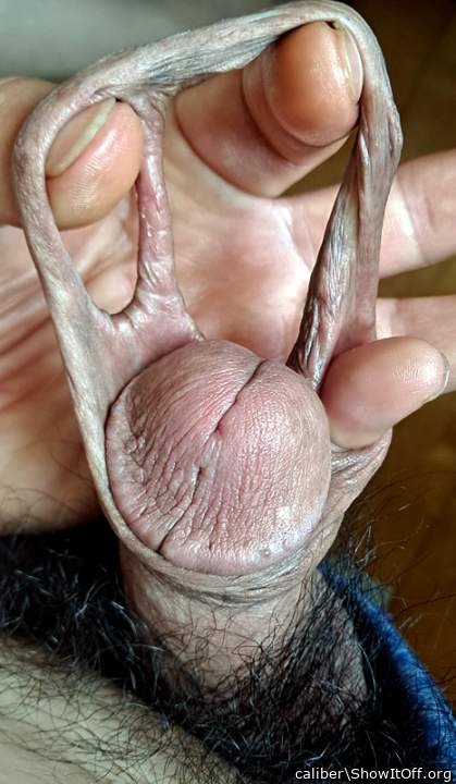 Photo of a cock from caliber