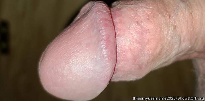 Lonely Cock for Comments