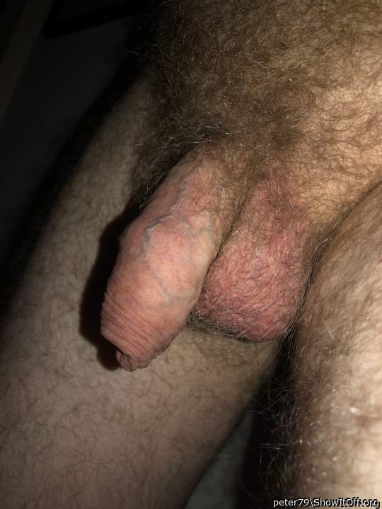 A very attractive hairy dick 