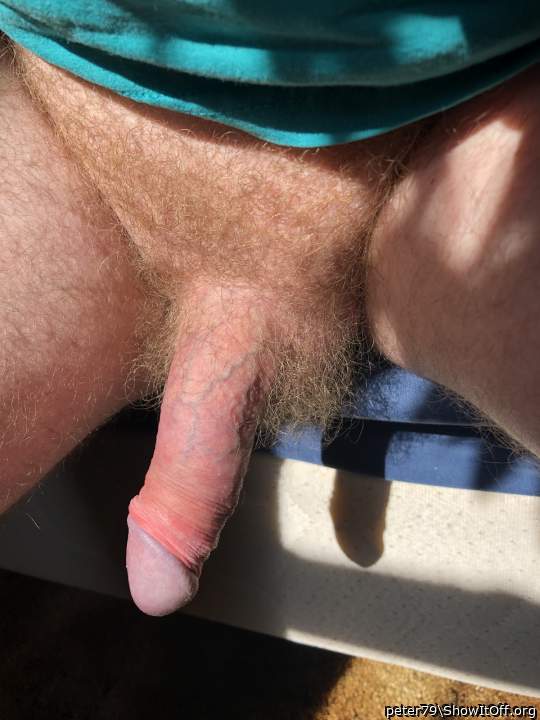 Photo of a boner from peter79