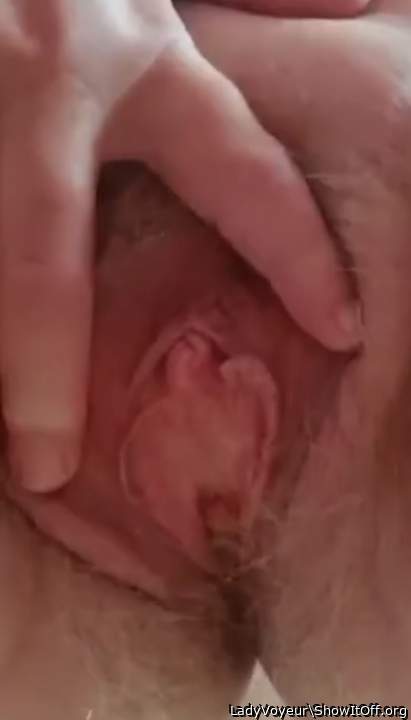 Wife's Vag