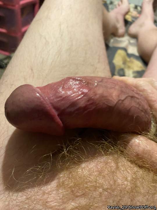 Adult image from Xavier_29