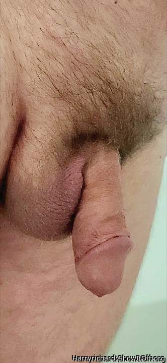 What a beautiful cock and balls