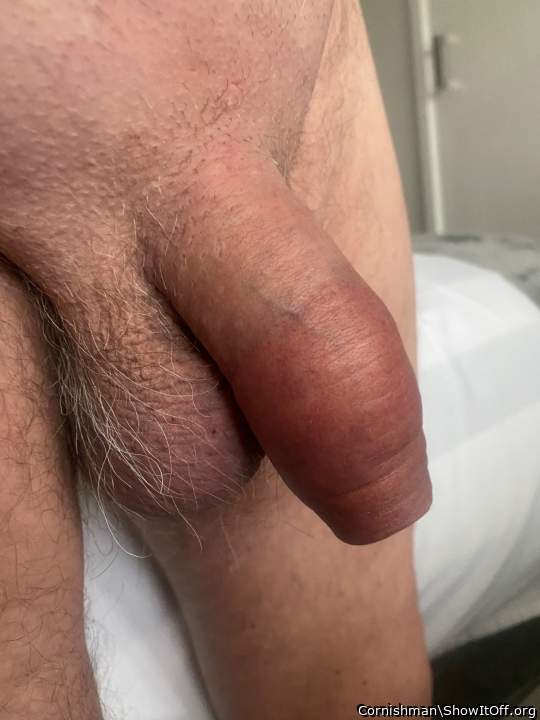 Nice cock and foreskin