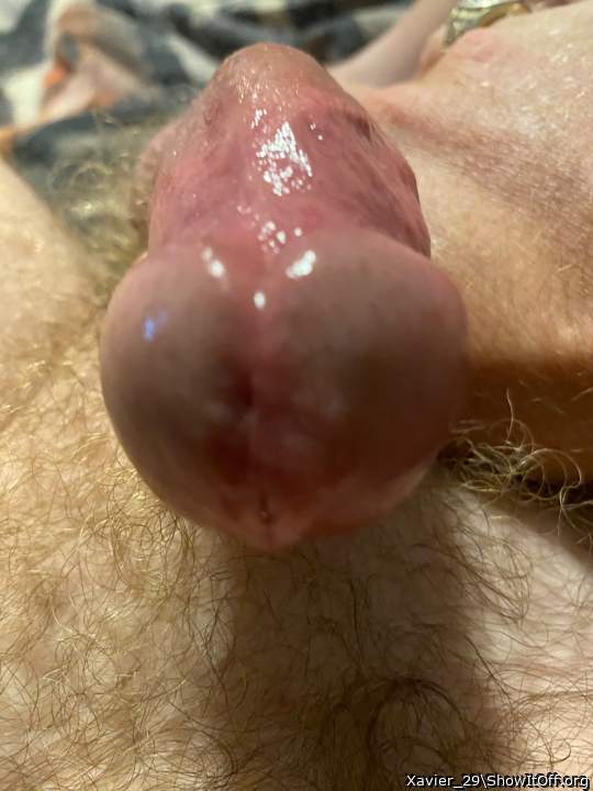 Adult image from Xavier_29