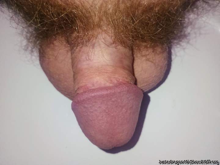 Adult image from Justadragon40