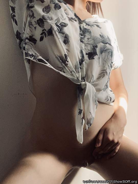 Adult image from sunflowerseed03