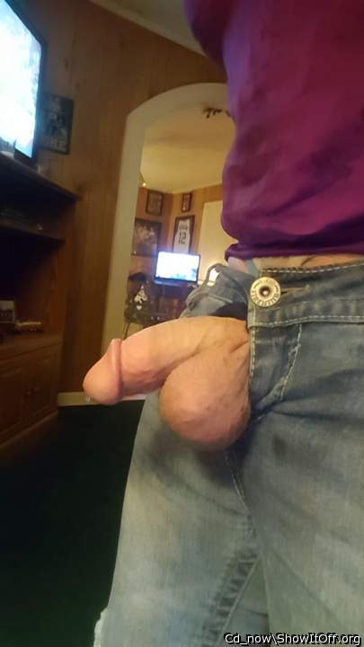 Photo of a cock from Cd_now