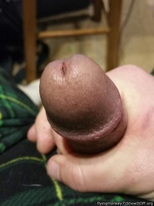 Gorgeous head can I put it in my mouth and suck on it 