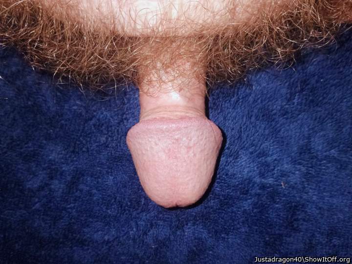 Adult image from Justadragon40