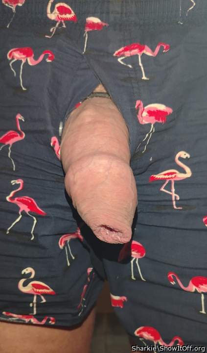 and gorgeous, luv that hood 