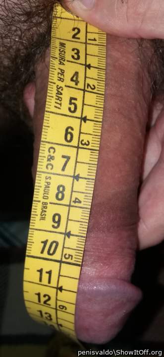 Measure latin thick dick