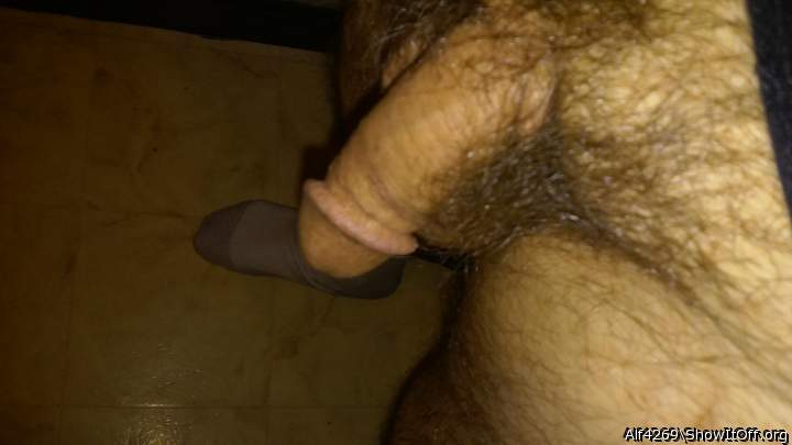 Photo of a penis from Alf4269