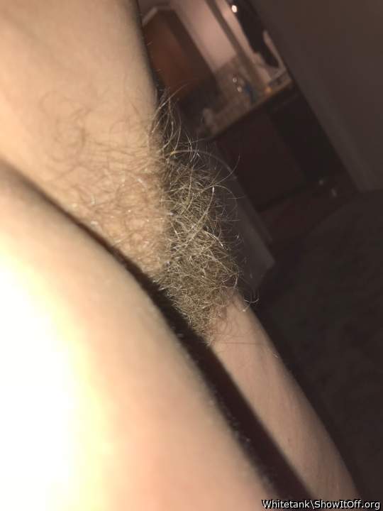 Photo of flaps from Whitetank