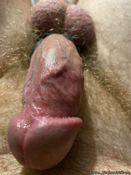 Adult image from Xavier_29