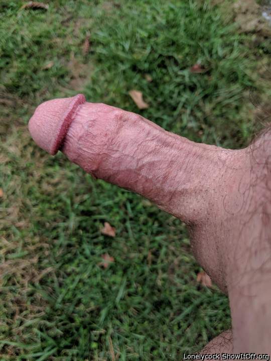 Yummy hard cock....looks like you could use a nice blow job 