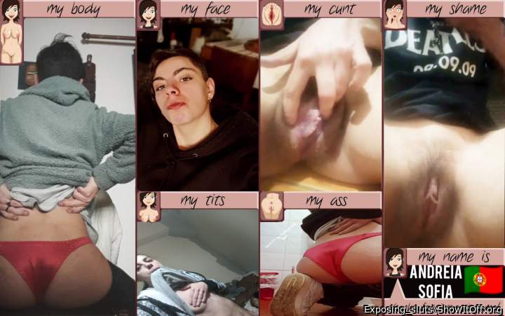 Andreia Portuguese inspection card