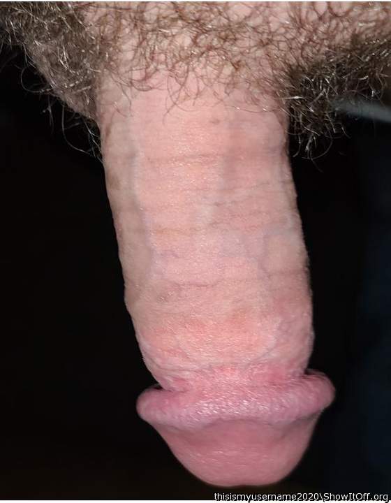 Lonely Cock for Comments