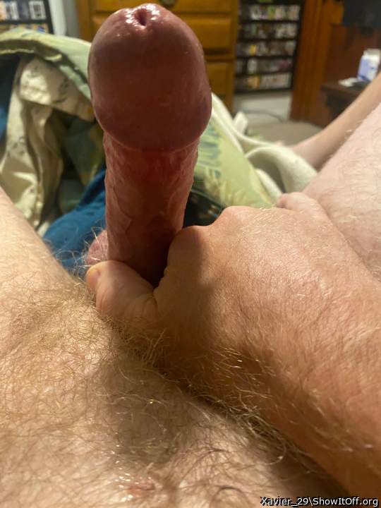 Adult image from Xavier_29