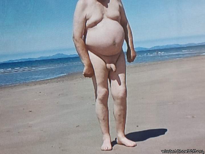 Adult image from wilsden