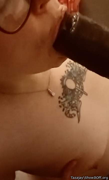 Adult image from Tazajay