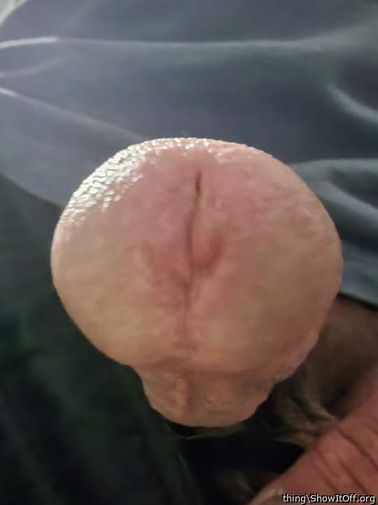 Interesting picture.     nice head.