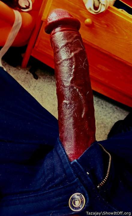 Adult image from Tazajay