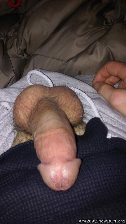 Photo of a dick from Alf4269
