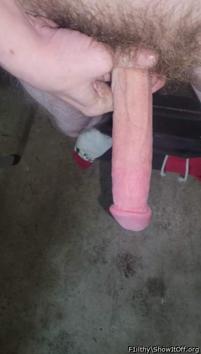 Photo of a cock from F1ilthy