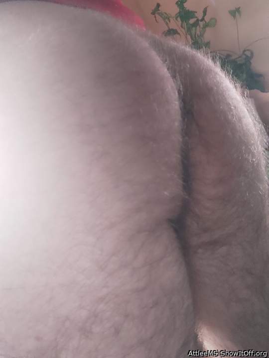 Photo of Man's Ass from AttleeMS