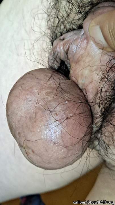 balls piercing the forskin