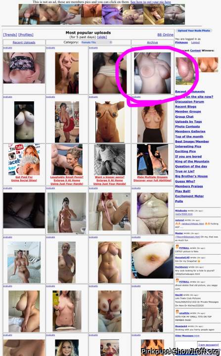 Top picture on the site  Female Tits