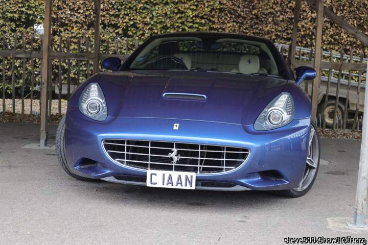 Adult image from steve500