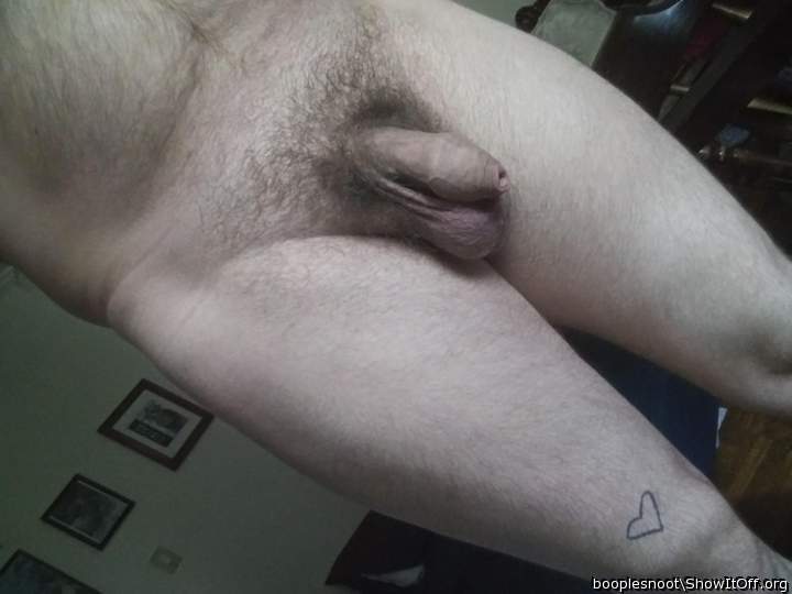 Yummy uncut cock and great balls