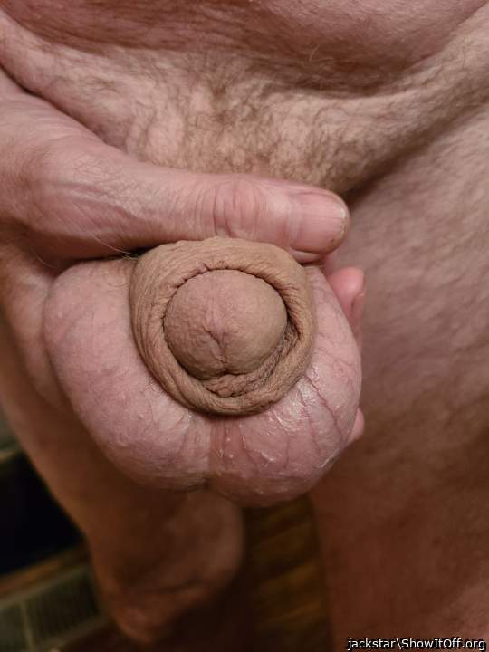 Adult image from jackstar